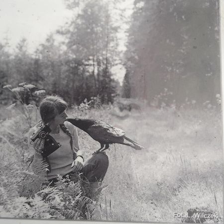 In Nature Bialowieza Exterior photo