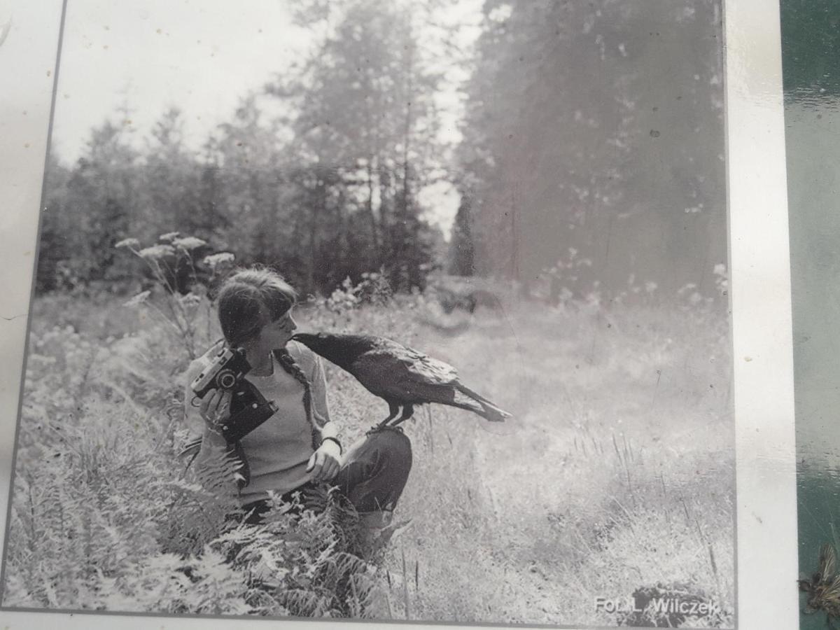 In Nature Bialowieza Exterior photo