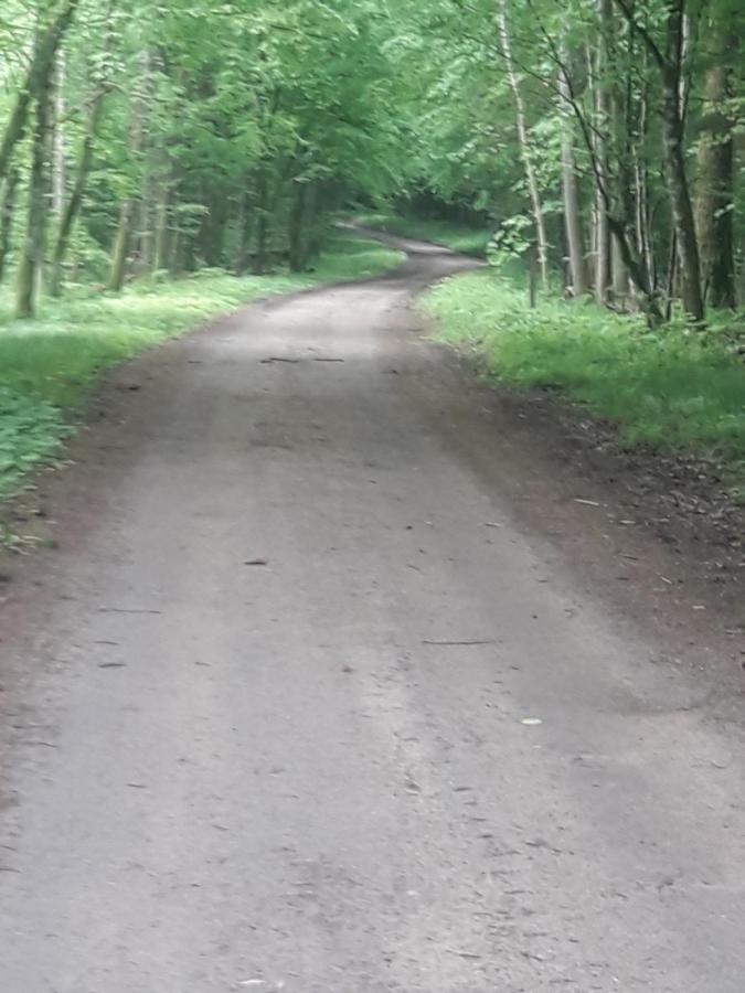 In Nature Bialowieza Exterior photo